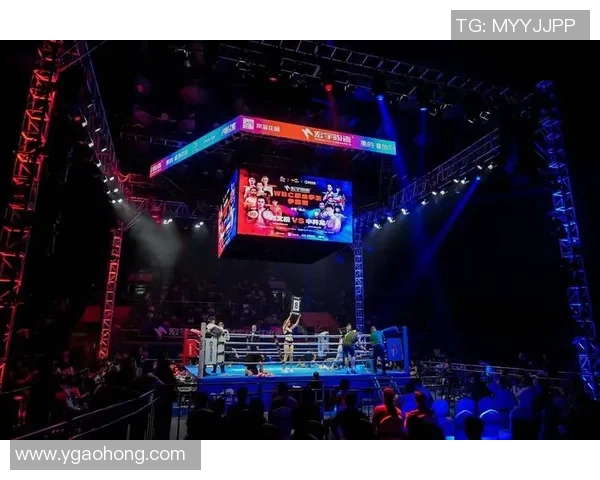 史達比克与辛迪夫佐特的精彩对决揭示拳击界的新格局与未来趋势